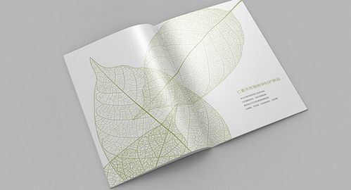 福州品牌设计策划与软件开发 古柏广告设计的整合之道